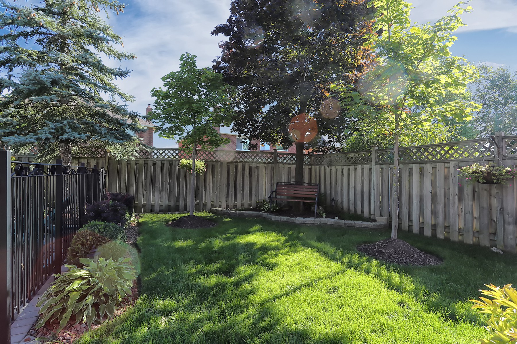 16635_back_yard_4_20140908220134.jpg
